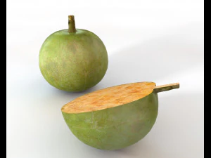 bael wood apple 3D Model