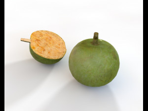 bael wood apple 3Dモデル