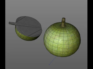 bael wood apple 3D Model