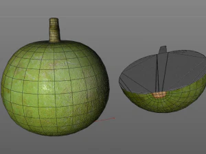 bael wood apple 3D Model