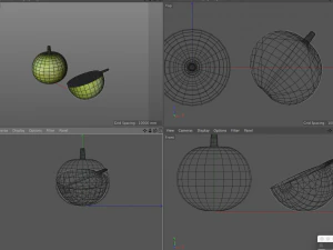 bael wood apple 3D Model