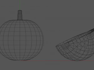 bael wood apple 3D Model