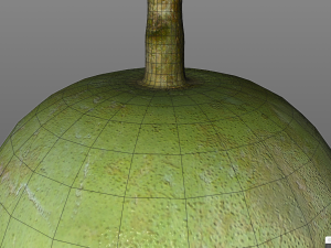 bael wood apple 3Dモデル