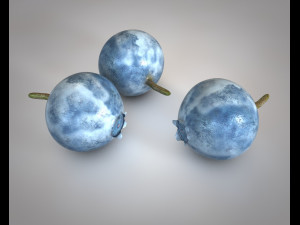bilberry berries Modelo 3D