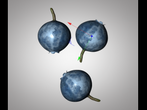 bilberry berries Modelo 3D
