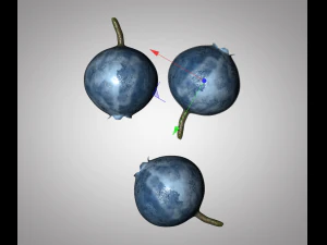 bilberry berries 3D Model