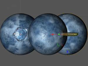 bilberry berries Modelo 3D