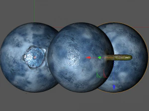 bilberry berries 3D Model