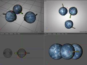 bilberry berries 3D Model