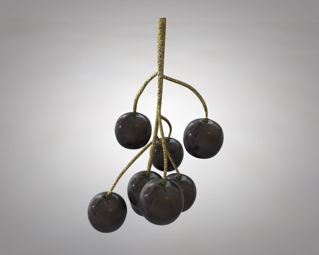 black currant Modelo 3D .c4d .max .obj .3ds .fbx .stl .blend 
