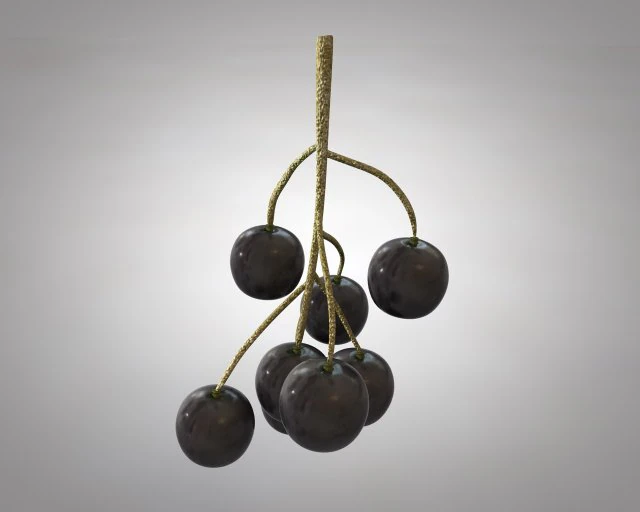 black currant 3D Model .c4d .max .obj .3ds .fbx .stl .blend