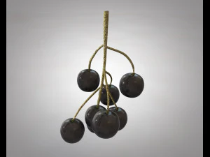ribes nero Modello 3D