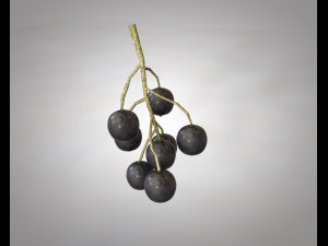 black currant Modelo 3D