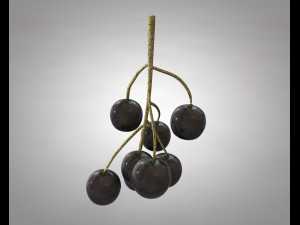 black currant Modelo 3D