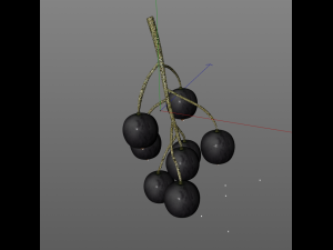 black currant Modelo 3D