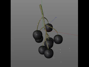 black currant 3D Model