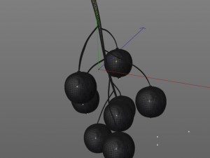 black currant Modelo 3D