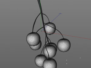 black currant 3D Model