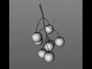 black currant 3D Model