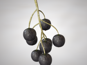 black currant Modelo 3D