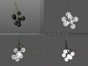 black currant Modelo 3D