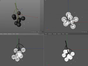 black currant 3D Model