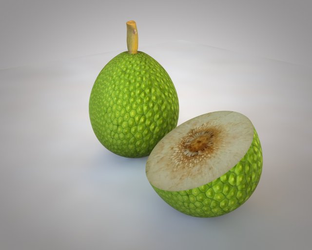 breadfruit 3D Model .c4d .max .obj .3ds .fbx .stl .blend 