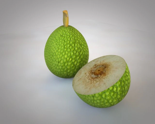 breadfruit 3D Model .c4d .max .obj .3ds .fbx .stl .blend