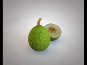 breadfruit 3D Model