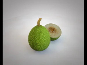 breadfruit 3D Model