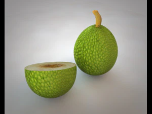 breadfruit 3D Model