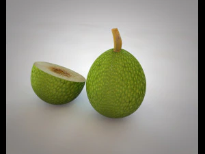 breadfruit 3D Model