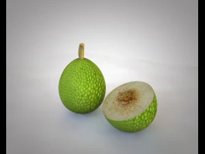 breadfruit 3D Model
