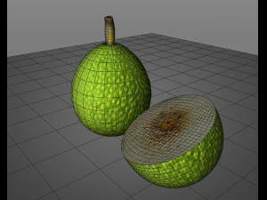 breadfruit 3D Model