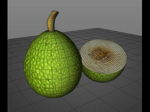 breadfruit 3D Model