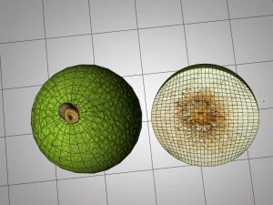 breadfruit 3D Model