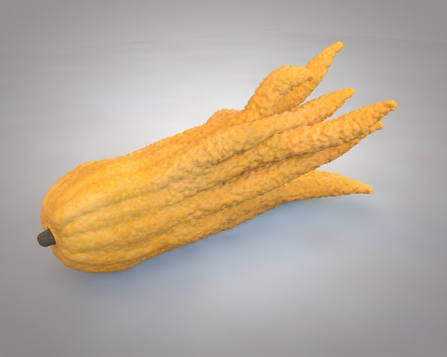 buddhas hand fruit 3D Model .c4d .max .obj .3ds .fbx .stl .blend 