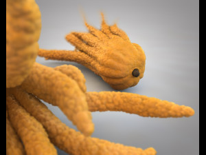 buddhas hand fruit 3D Model