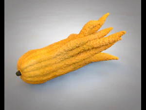 buddhas hand fruit 3D Model