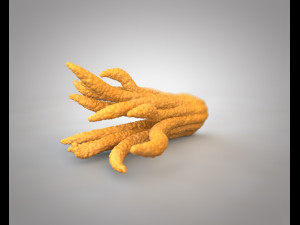 buddhas hand fruit 3D Model