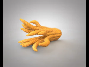 buddhas hand fruit 3D Model