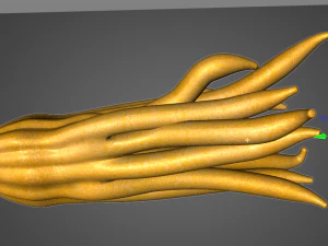 buddhas hand fruit 3D Model