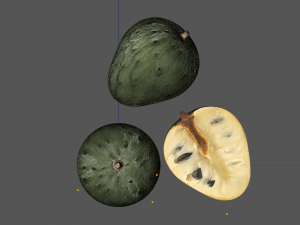 cherimoya sugar apple 3Dモデル