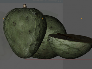 cherimoya sugar apple 3Dモデル