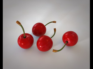 red cherry 3D Model