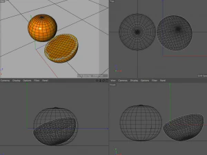 clementine citric 3D Model