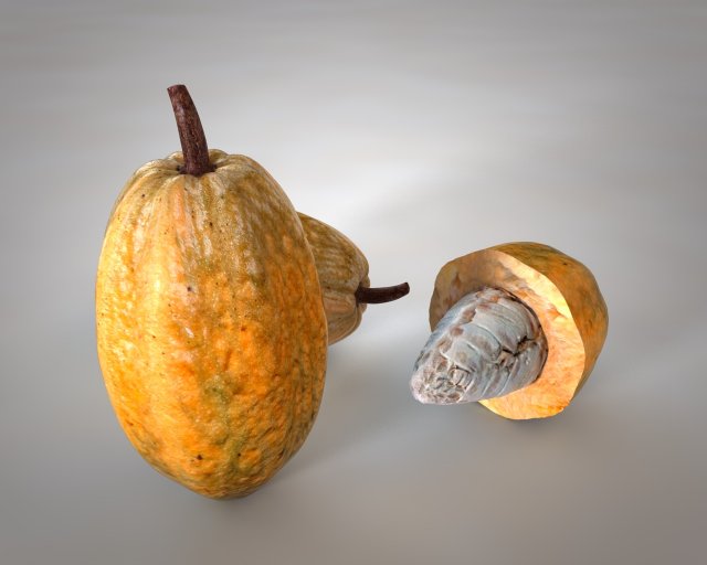 cocoa fruit Modello 3D .c4d .max .obj .3ds .fbx .stl .blend