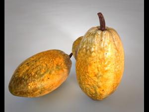 cocoa fruit Modello 3D