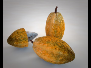 cocoa fruit Modello 3D