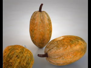 cocoa fruit Modello 3D